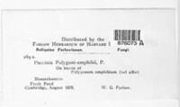 Image Associated With the Occurence